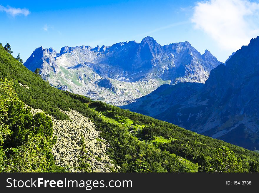 Tatra in summer with green forest, Slovakia