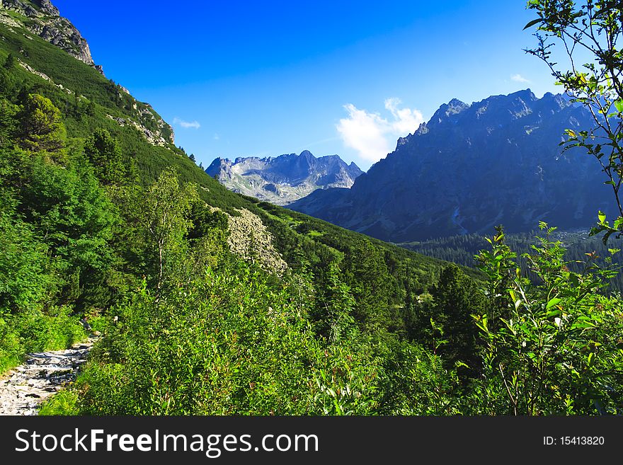 Tatra in summer with green forest, Slovakia