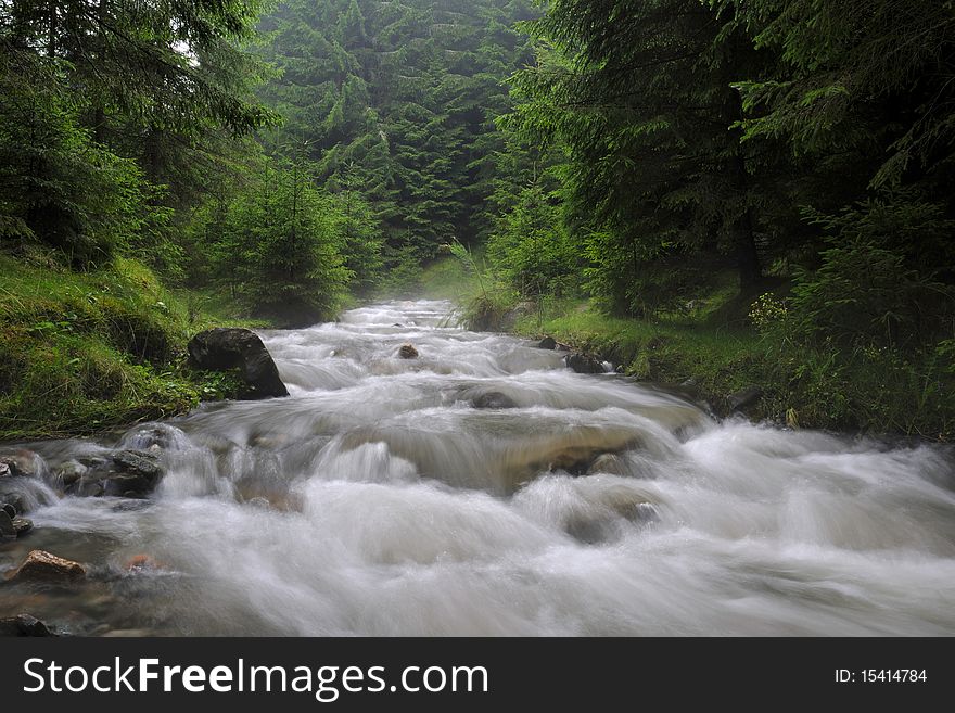 River in romanian mountains in summer