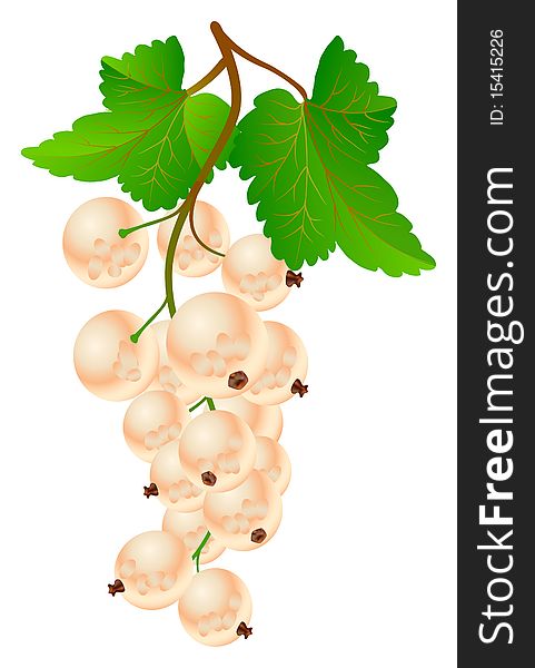 Currant White On Bench