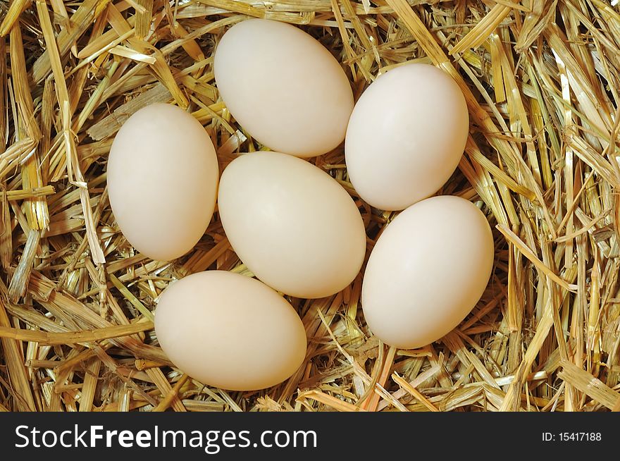 Brown chicken eggs on a bed of straw. Brown chicken eggs on a bed of straw