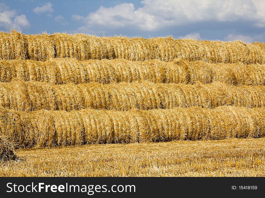 Harvest(cleaning) of cereals