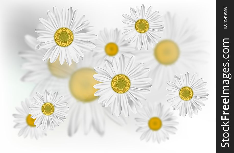 Background with summer painted daisies. Background with summer painted daisies