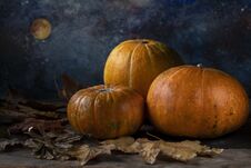 A Group Of Three Pumpkins And Fallen Dry Leaves Royalty Free Stock Photo