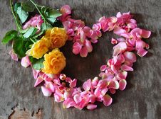 Heart From Petals Stock Photo Heart From Petals Stock Photo