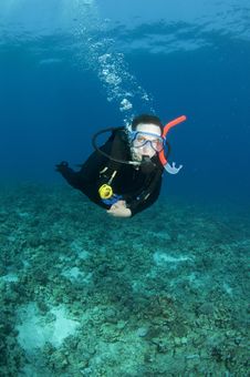 Scuba Diver Royalty Free Stock Photography Scuba Diver Royalty Free Stock Photography
