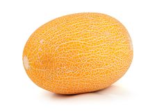 Yellow Melon Stock Image Yellow Melon Stock Image