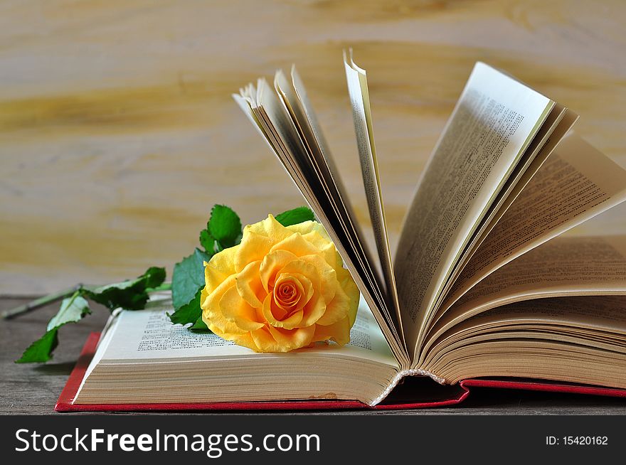 The exposed book lies on a table, a yellow rose lies between the pages of book. The exposed book lies on a table, a yellow rose lies between the pages of book