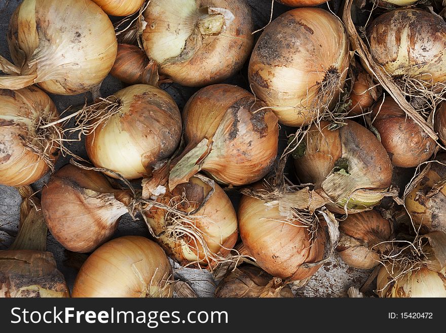 Heap of many organic onions