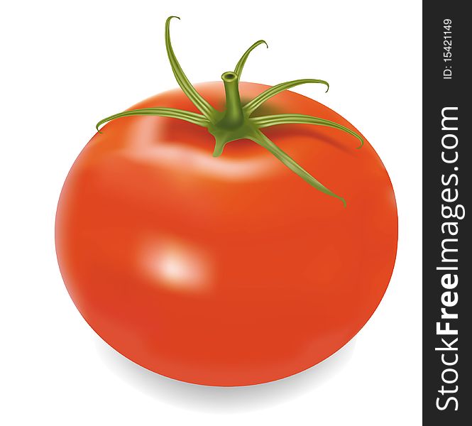 Photo-realistic illustration. Red tomato.