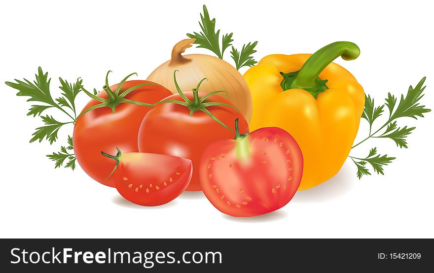 Group of vegetables with parsley. Photo-realistic  illustration.