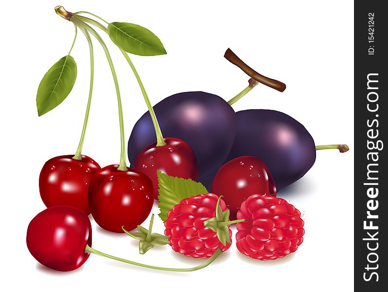 Photo-realistic illustration. Group of cherries, raspberries with leaves and plums. Photo-realistic illustration. Group of cherries, raspberries with leaves and plums.