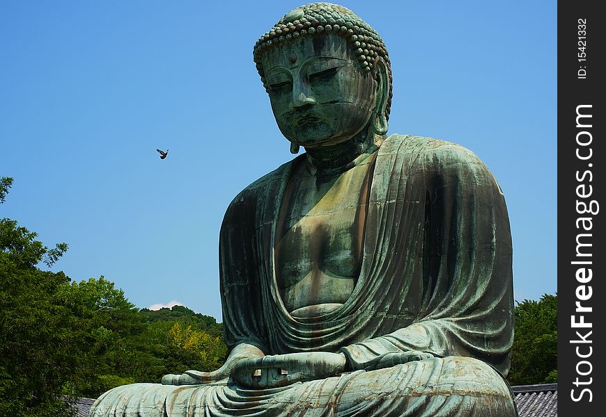 The great buddha of Kamakura, JAPAN.