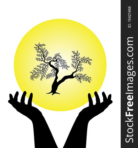 Human hands caring tree, symbol of nature