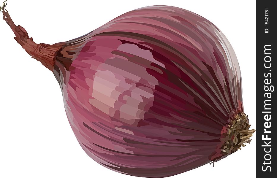 Vector red onion. Filled with solid colors only.