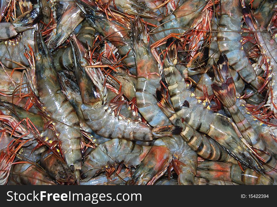 Fresh shrimps ( crayfish, prawns ) seafood background