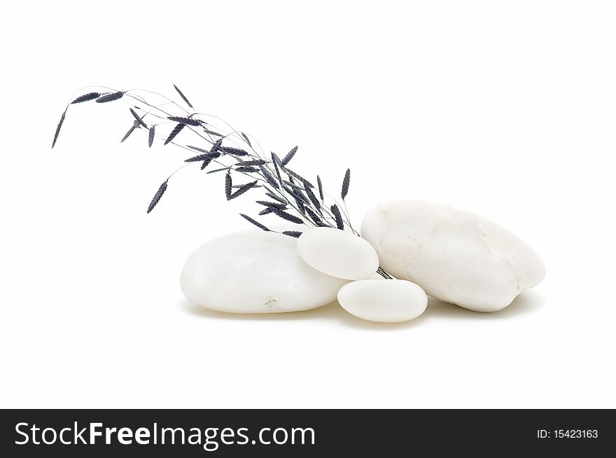 Stones and flowers isolated on white background