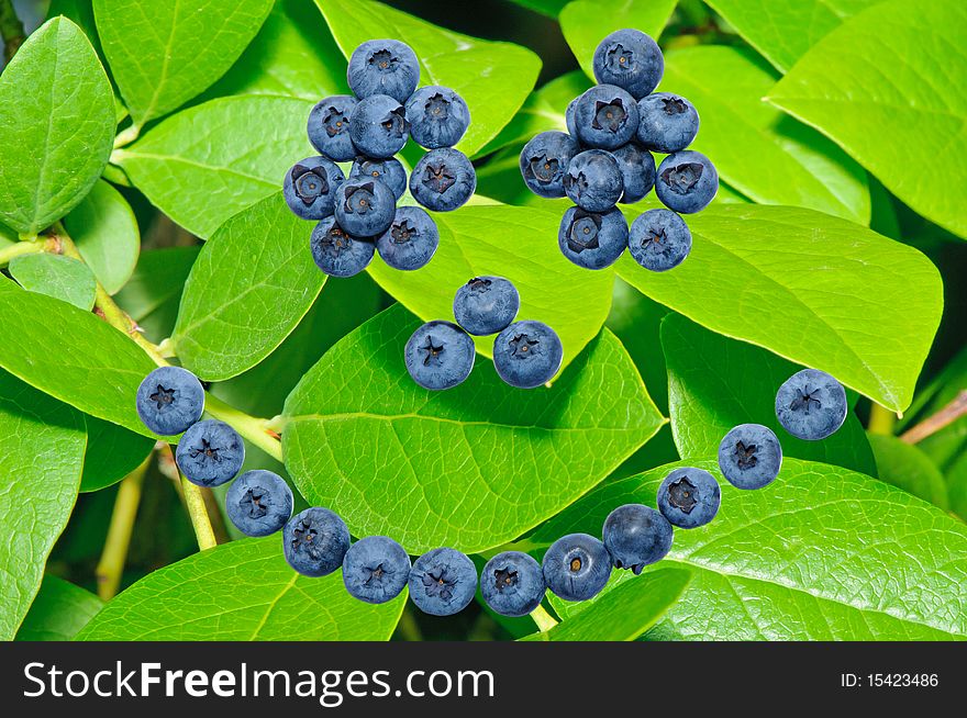 Smiley face made out of blueberries on blueberry leafs background. Smiley face made out of blueberries on blueberry leafs background