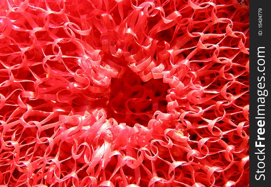 Detail photo texture of the red sponge background