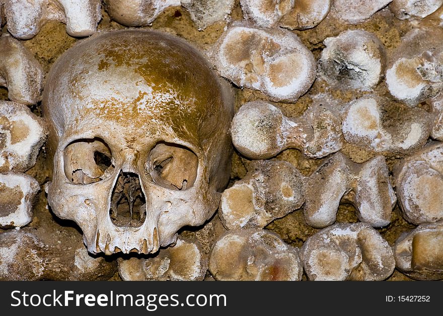 Real human skull on a bone wall