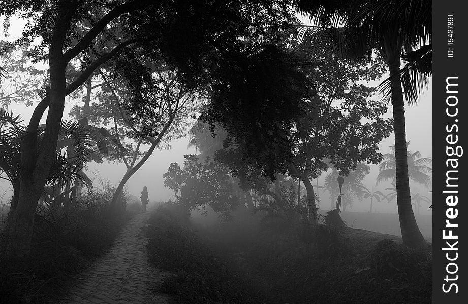 Landscapem in foggy morning in a urban village. Landscapem in foggy morning in a urban village