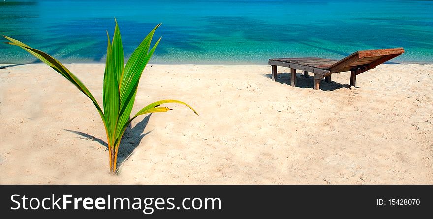 Chair and small plant on luxury beach. Chair and small plant on luxury beach