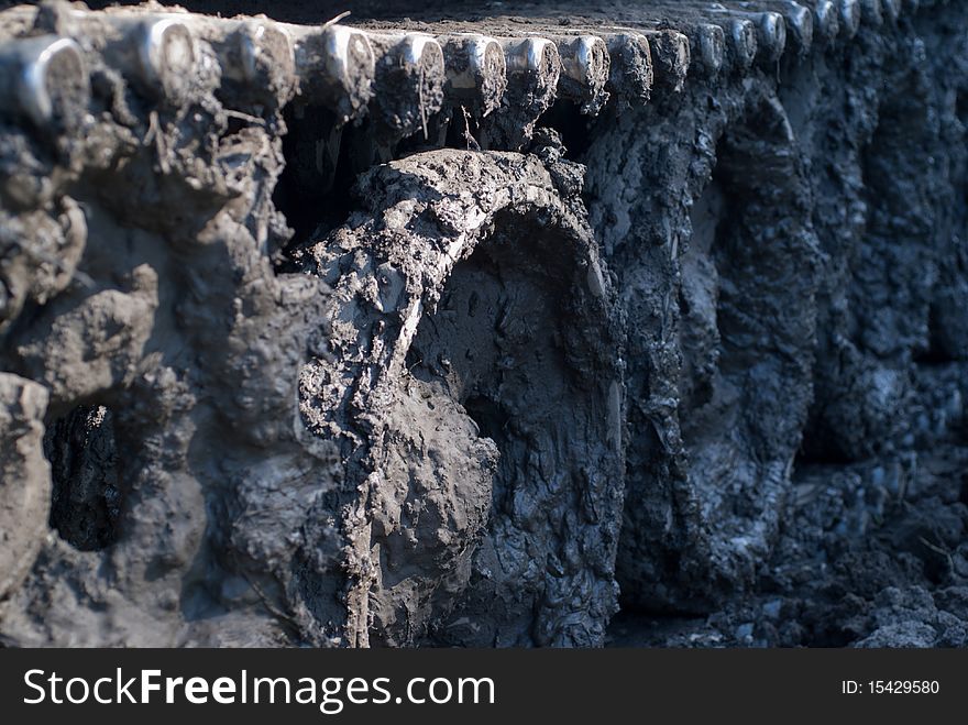 Armour caterpillar;
shallow depth of field. Armour caterpillar;
shallow depth of field