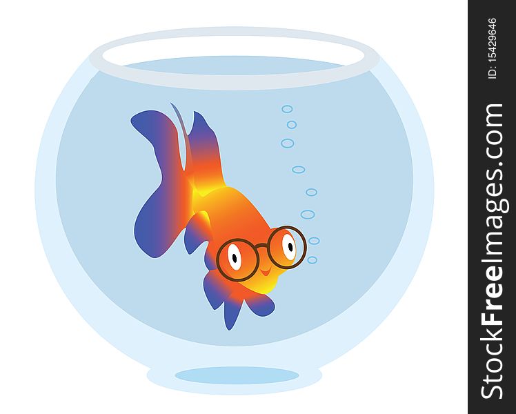 The small fish floats in an aquarium. The small fish floats in an aquarium