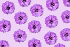 Purple Flower Pattern On A Purple Background Royalty Free Stock Photo