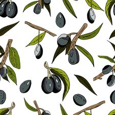 Seamless Abstract Pattern Of Olives, Twigs, Leaves And Fruits On A White Background. Decorative Juicy Print Royalty Free Stock Photos
