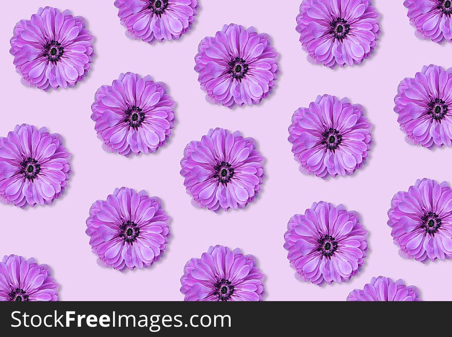 Purple flower pattern on a purple background