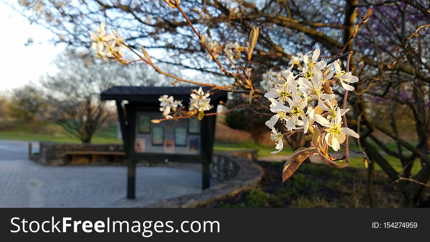 Pickerington Ponds Metro Park