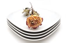 Single Dry Rose On A Plate Royalty Free Stock Image