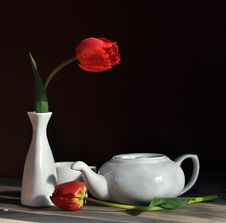 Still Life With A Tulip Stock Photo Still Life With A Tulip Stock Photo