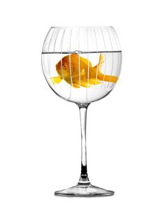 Gold Fish Swimming In Big Stylish Goblet Royalty Free Stock Photography Gold Fish Swimming In Big Stylish Goblet Royalty Free Stock Photography