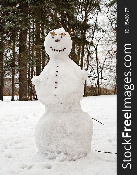 Snowman on snow covered field in park