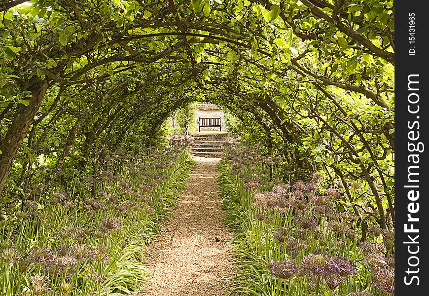 Garden path under leafy arch leading to garden seat. Garden path under leafy arch leading to garden seat