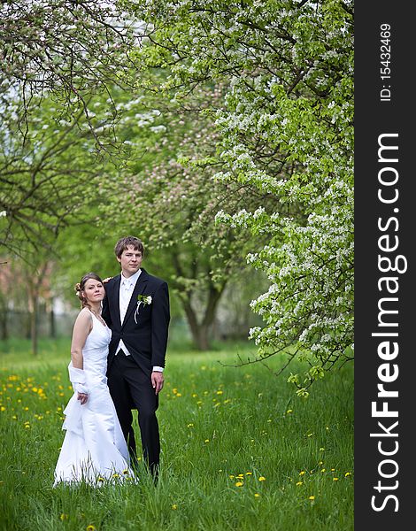 Young wedding couple - freshly wed groom and bride posing outdoors on a lovely spring day