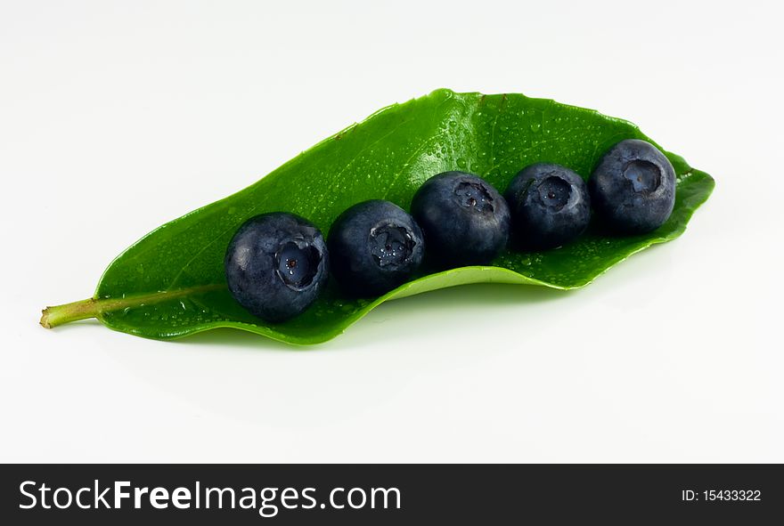 Five big blueberries on a green leaf. Five big blueberries on a green leaf