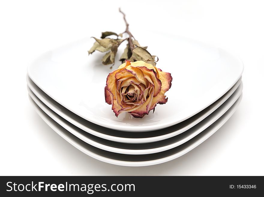 Single dry rose on a plate
