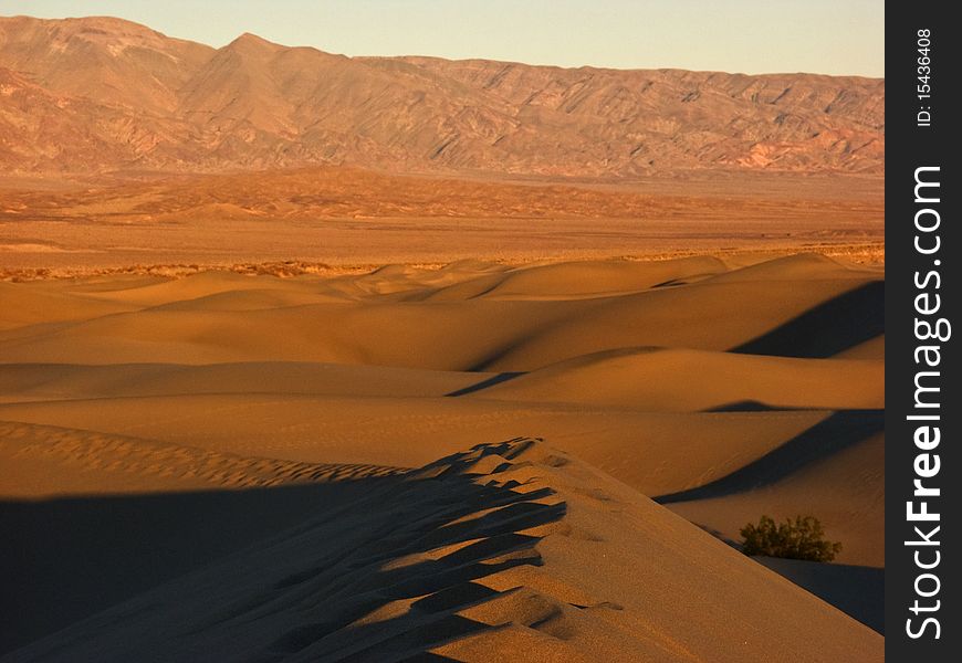 Dunes in Death Valley National Park