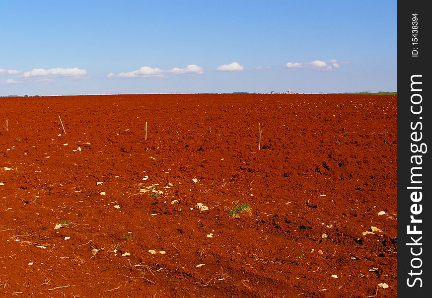 Bright red fields countryside with blue sky, a line on white fluffy clouds over the horizon, and village in the very distance; *with space for text (copyspace)