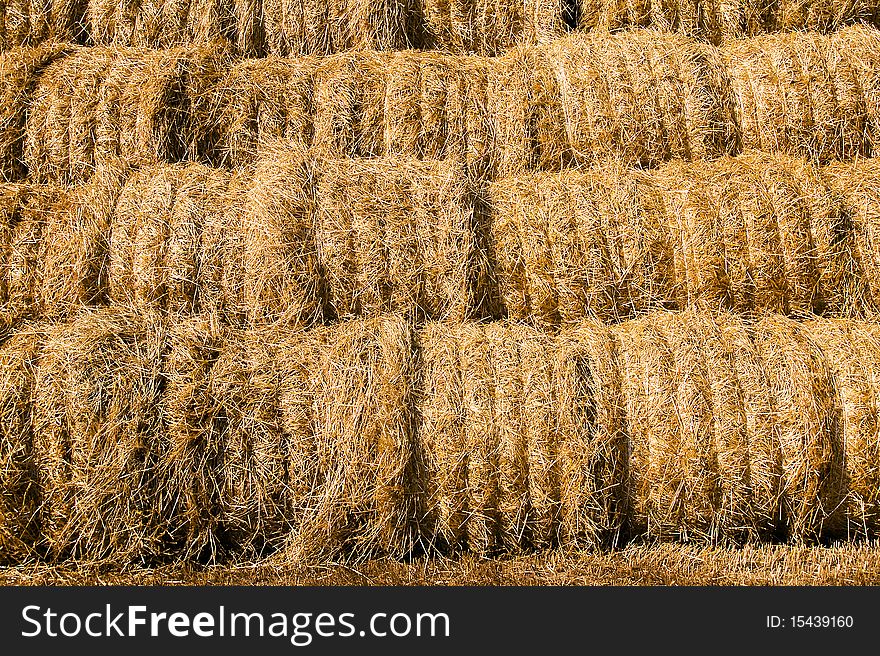 The assembled together straw which has stayed after harvest(cleaning) of cereal plants (Cereals). The assembled together straw which has stayed after harvest(cleaning) of cereal plants (Cereals)