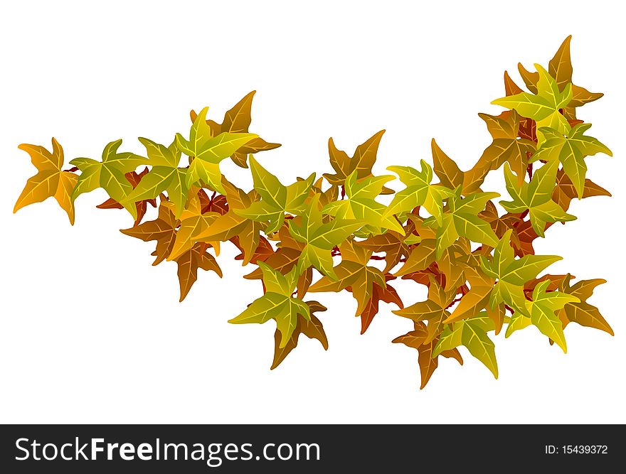 Twig with autumn leaves. File includes clipping path.
