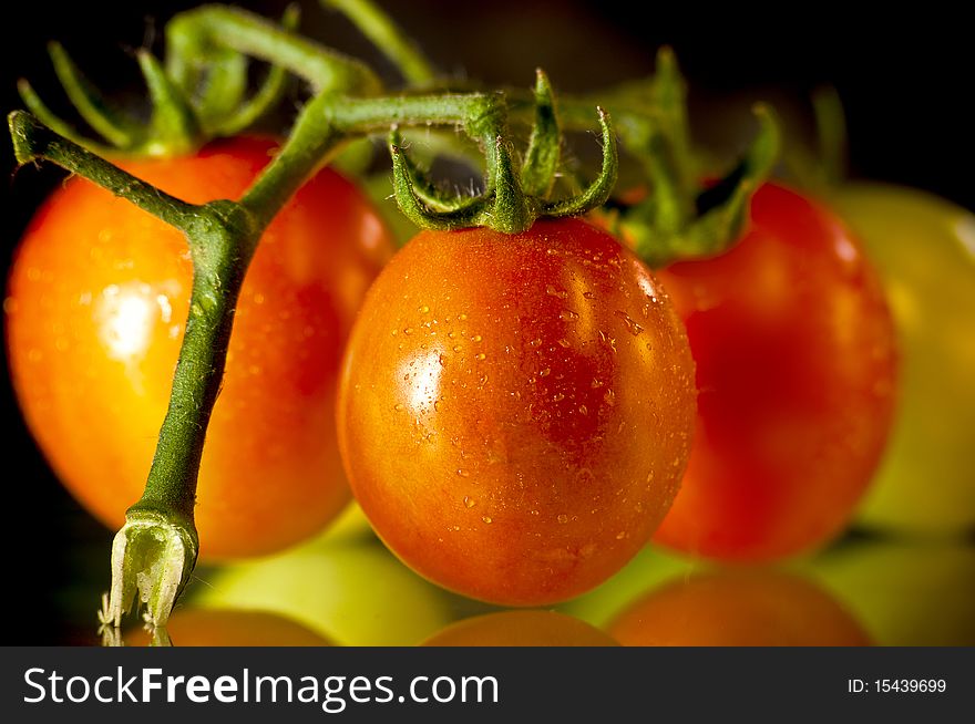 Fresh tasty red wet tomatoes on the glass. Fresh tasty red wet tomatoes on the glass