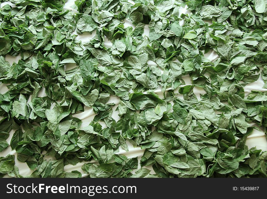 A pattern of corchorus leaves on white carpet. A pattern of corchorus leaves on white carpet