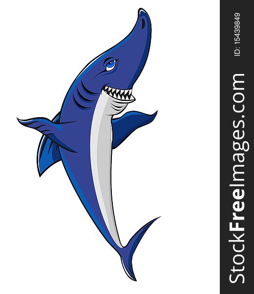 Shark  illustration isolated on white background