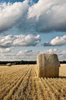 Hay Bale Roll On Field With Clouds Stock Images Hay Bale Roll On Field With Clouds Stock Images