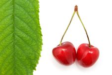Isolated Sweet Cherries Royalty Free Stock Photography Isolated Sweet Cherries Royalty Free Stock Photography