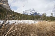Meadow, River And Mountain Royalty Free Stock Photos Meadow, River And Mountain Royalty Free Stock Photos